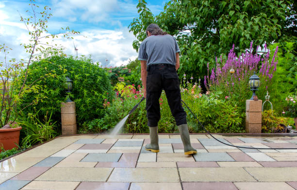 Best Animal Enclosure Cleaning  in La Grange, TX